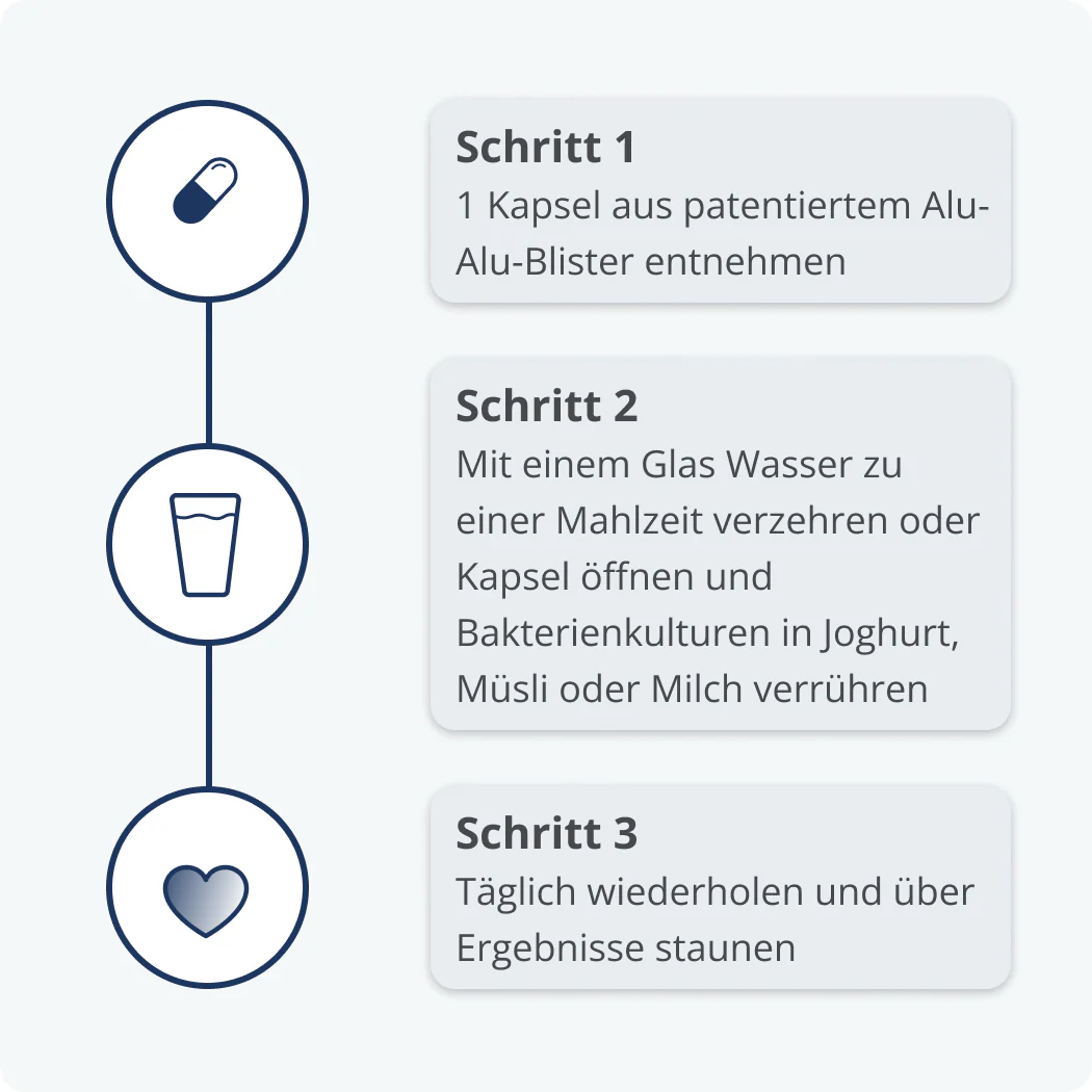 Vorschaubild 7