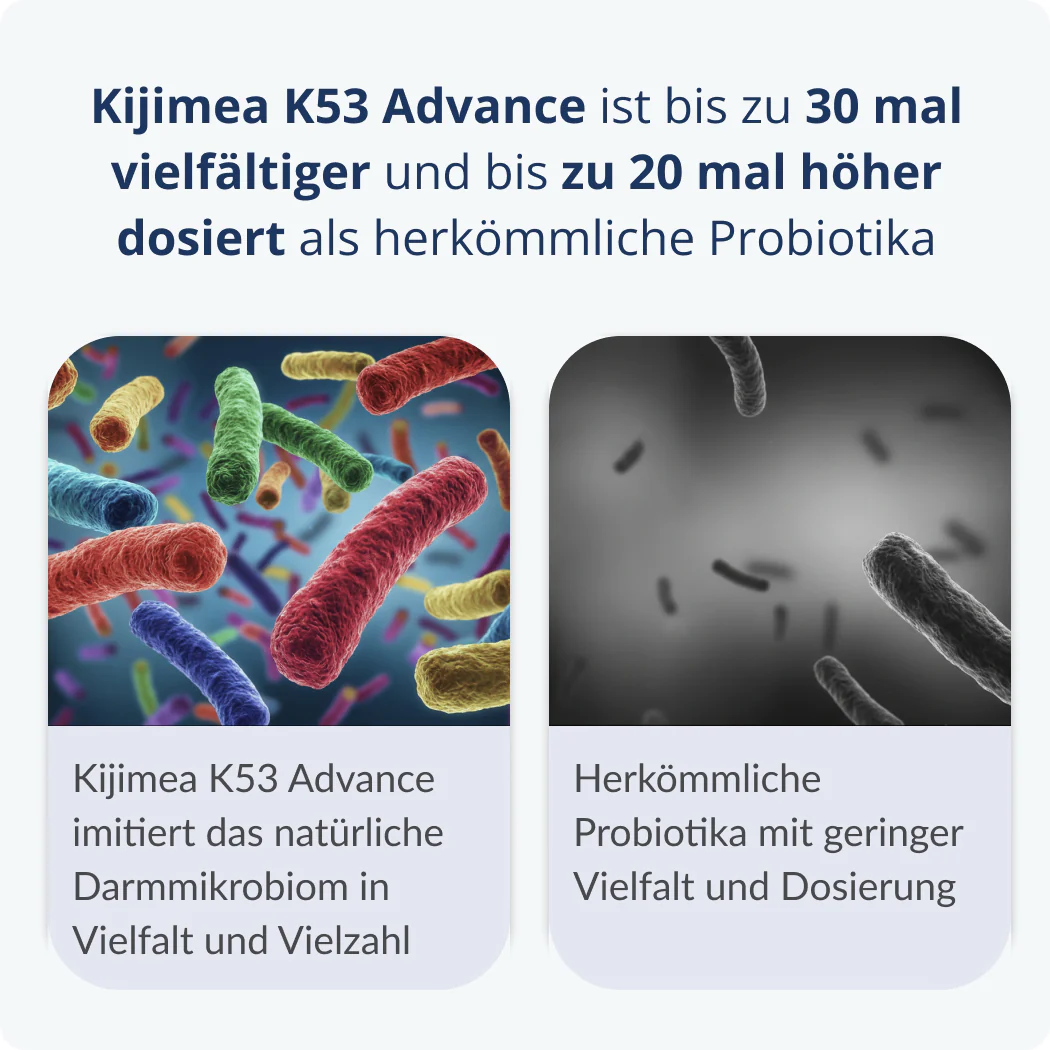 Vorschaubild 8